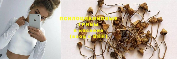 амфетамин Алексеевка