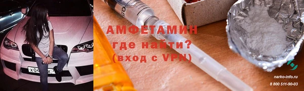 мет Алексин