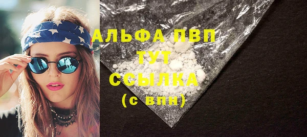мет Алексин